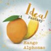 IDEA FANTASY MANGO ALPHONSO 70% MARCAGEL 1,2kg